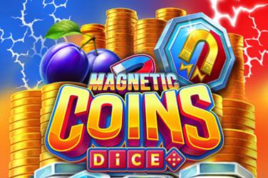 Magnetic Coins Dice